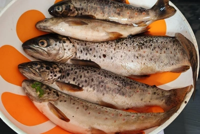 Salt fresh-caught trout: simple recipe