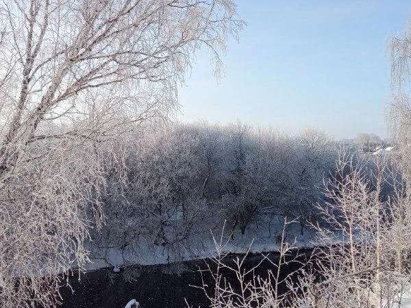 Даже вблизи Челябинска, в Каштакском бору, можно было насладиться зимней природой. | Источник: читатель 74.RU