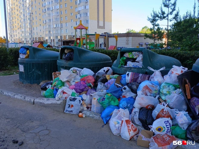 «Природа» остается регоператором: фирма через суд заключила с Минприроды мировое соглашение | Источник: Владислав Митрошин / 56.RU