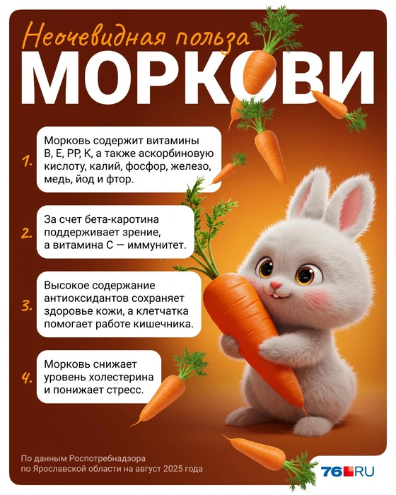 Чем полезна морковь&nbsp;— в карточке | Источник: Полина Авдошина / Городские медиа