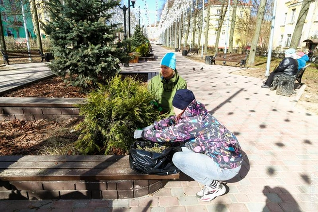 Источник: st.cherinfo.ru