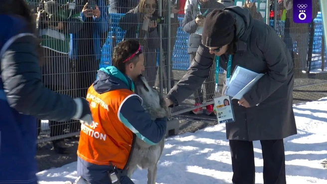 Источник: Скриншот из трансляции Okko