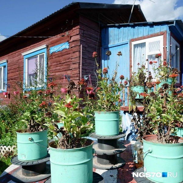 Источник: Варвара Фролова / NGS70.RU