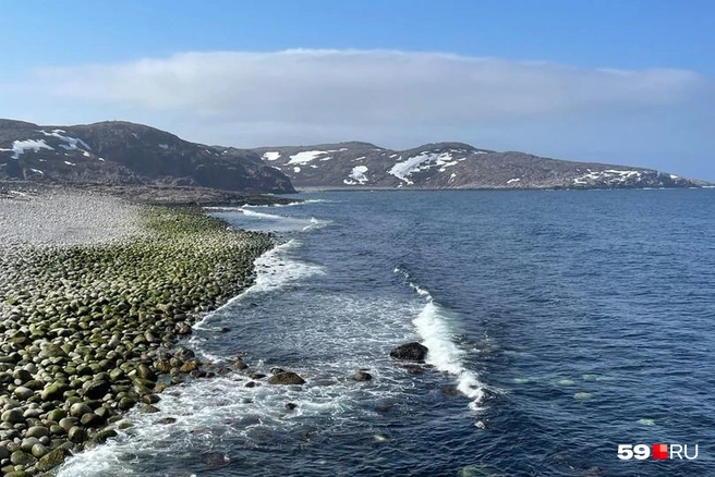 Териберка привлекает туристов побережьем Баренцева моря, переходящего в Северный Ледовитый океан | Источник: архив 59.RU