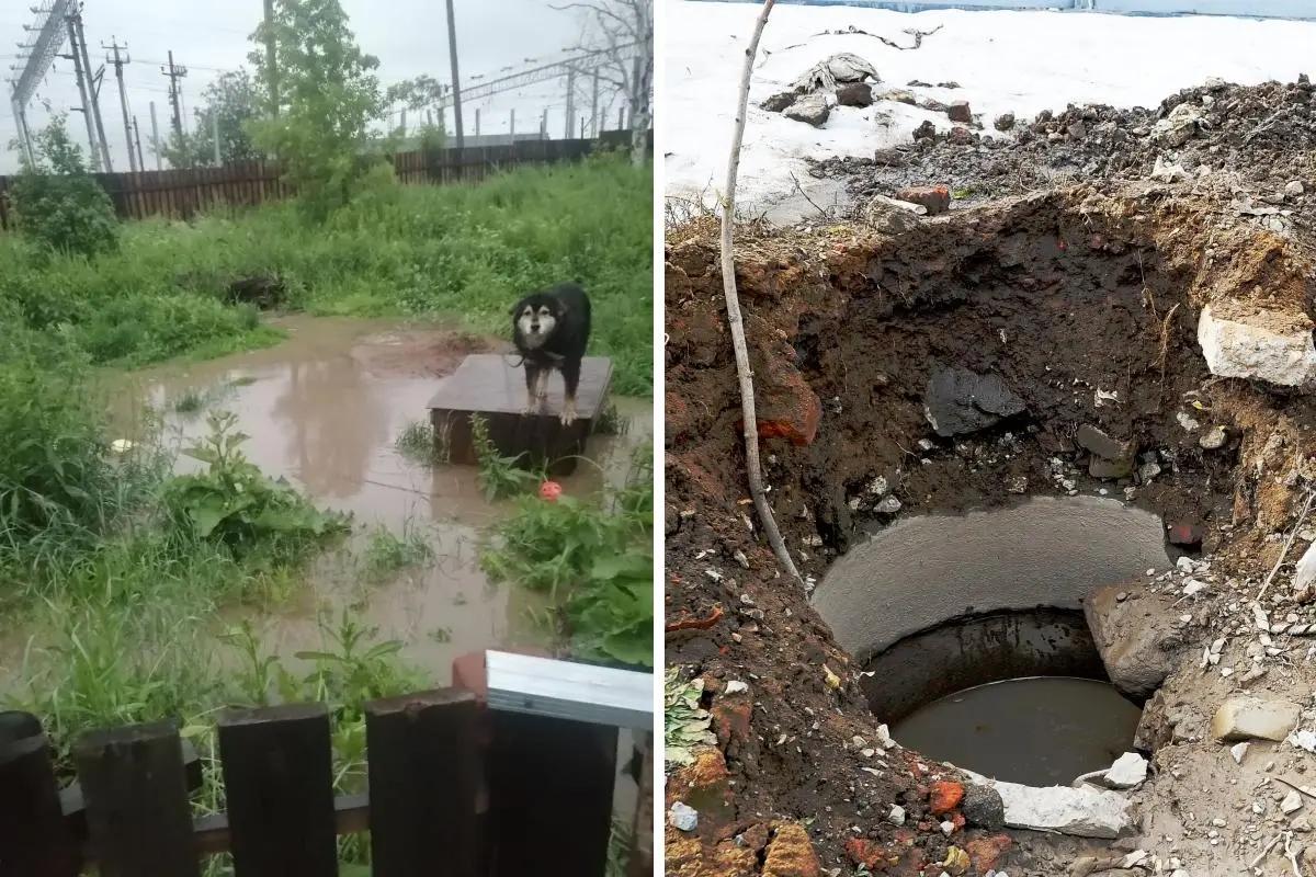 «Собака сидела на будке»: частные дома пермяков буквально топит водой из поврежденной ливневки, но ее никто не чинит