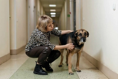 'Antidepressant for Doctors': Cats and Dogs at Novosibirsk Ambulance Stations