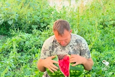 Николай Злыднев рассказал, как вырастить сахарный арбуз