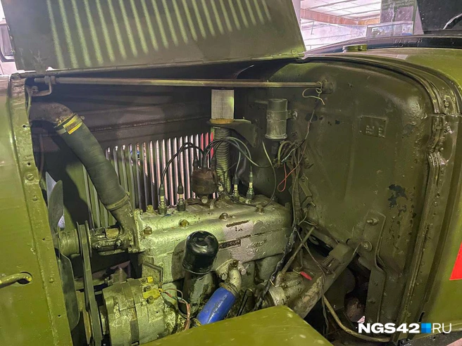 Источник: Валерия Городецкая / NGS42.RU