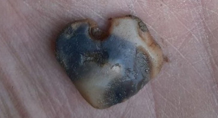 Не тронуты тысячелетиями: на берегу Енисея нашли подвески и кострище времен палеолита