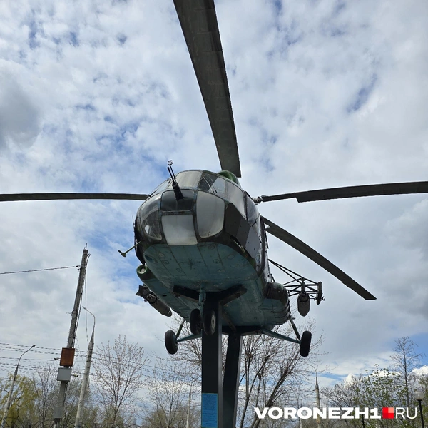 Источник: Ирина Булгакова / Voronezh1.ru