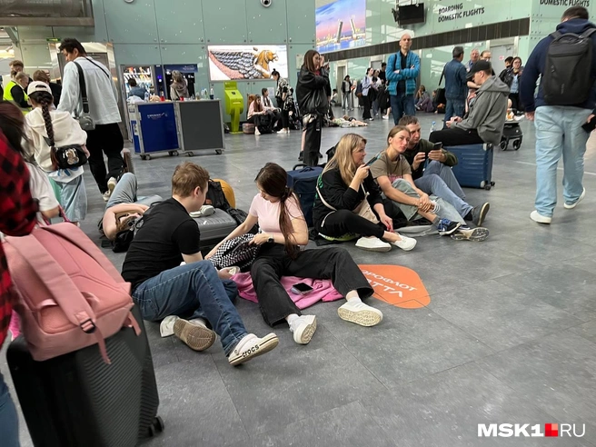 На фото ситуация в Пулково | Источник: читатель MSK1.RU