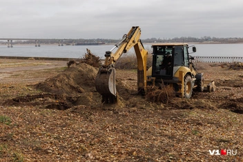 Источник: Алексей Волхонский / V1.RU