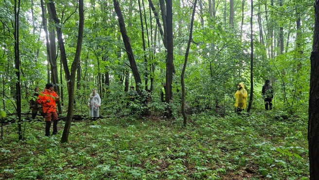 Поиски парня шли в основном в лесу | Источник: ДПСО «БаРС» (БашРегионСпас) / Vk.com