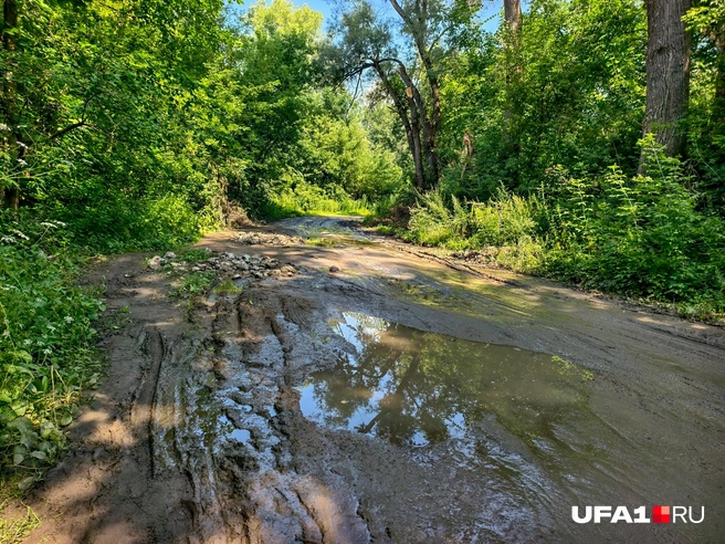 Дорога до пляжа, конечно, не впечатляет | Источник: Булат Салихов / UFA1.RU