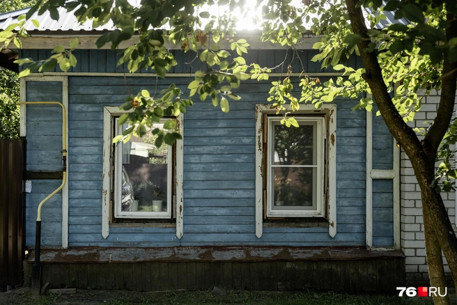 Кусочек сельской жизни в городе  | Источник: Александр Куренной / 76.RU