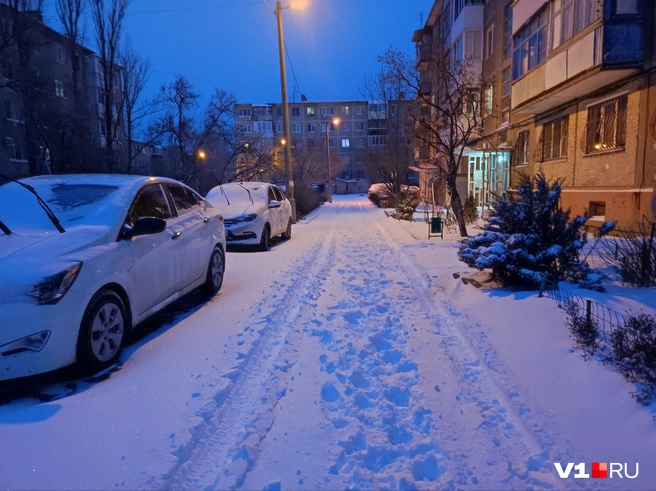 Картинка последствия снегопада с утра выглядела волшебно | Источник: Денис Паустовский / V1.RU