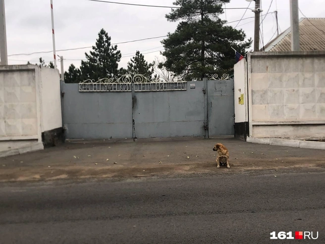С интернатом в Красном Сулине связано несколько скандальных историй | Источник: Григорий Ермаков / 161.RU