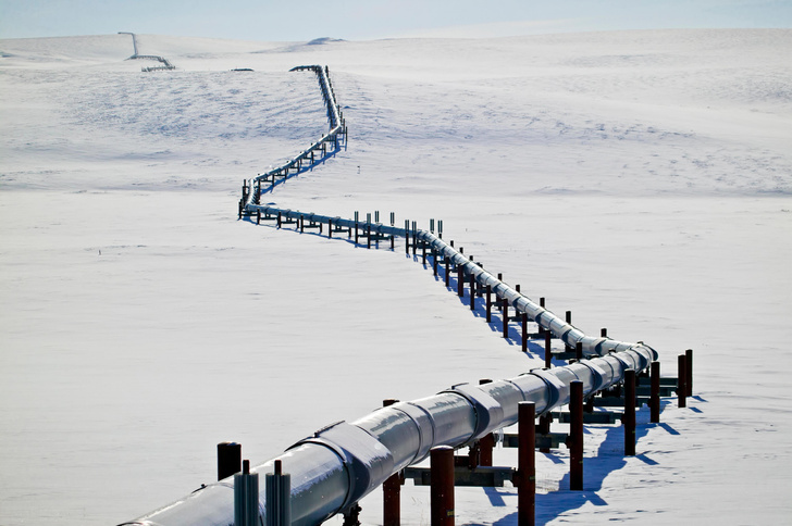 В Арктике нашли бактерии, которые разлагают солярку и нефть