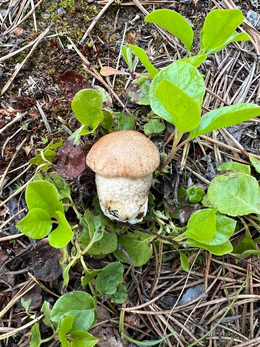 Источник: Наталия Петрунина