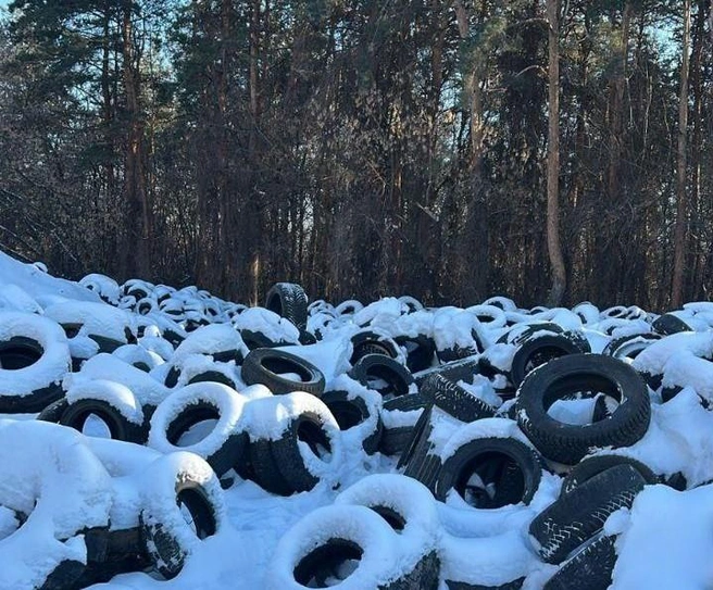 Свалка находится на ничейной земле | Источник: Минприроды Воронежской области / T.me