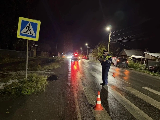 Водитель иномарки пояснил инспекторам, что не разглядел женщину в темноте | Источник: Госавтоинспекция Свердловской области / MAX