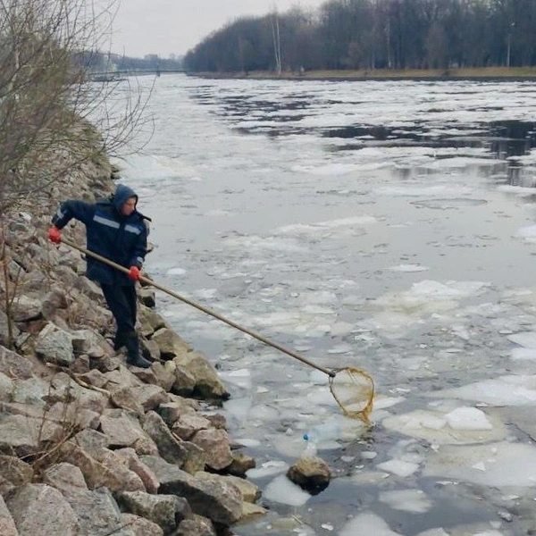 Источник: СПб ГБУ «Экострой»