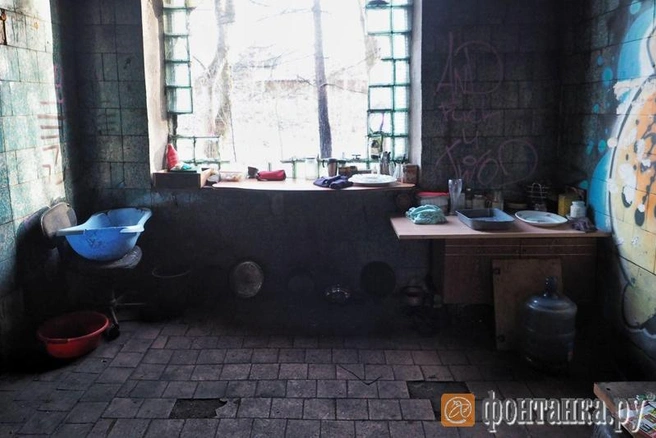 Источник: автор фото Михаил Огнев/«Фонтанка.ру»