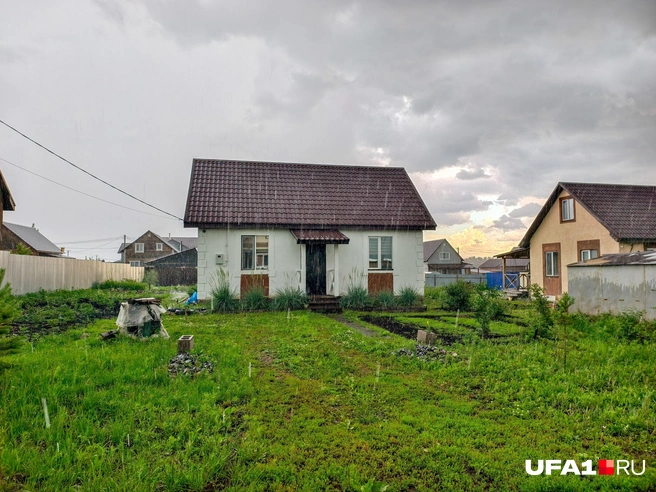 Буйная сочная растительность | Источник: Булат Салихов / UFA1.RU
