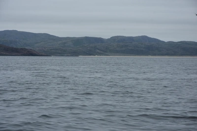 Суд обязал нефтяную компанию в Заполярье оформить экологическую экспертизу