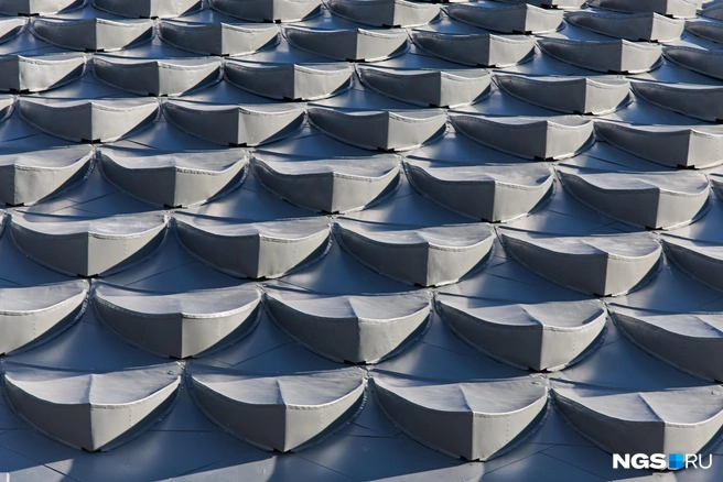 Такой темный цвет чешуек в театре объясняют влиянием погоды — по документам они должны быть светлее | Источник: Александр Ощепков / NGS.RU