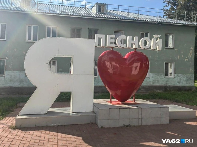 Работа социальных служб в Лесном с пострадавшими продолжается | Источник: Кристина Мельникова
