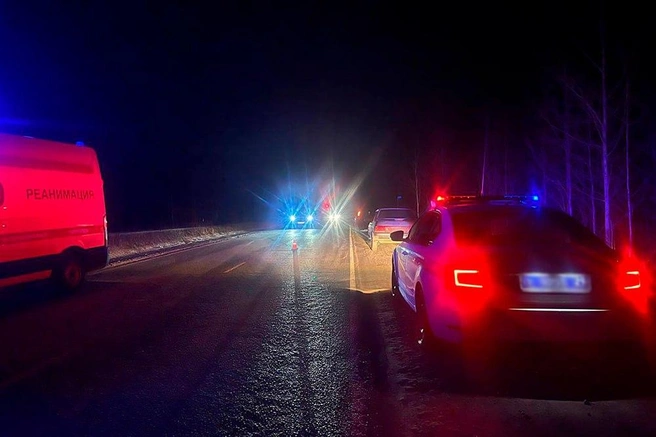 На дороге было темно | Источник: УМВД России по Архангельской области