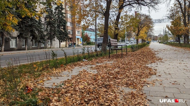 Это могло быть хорошее место для прогулок | Источник: Булат Салихов / UFA1.RU