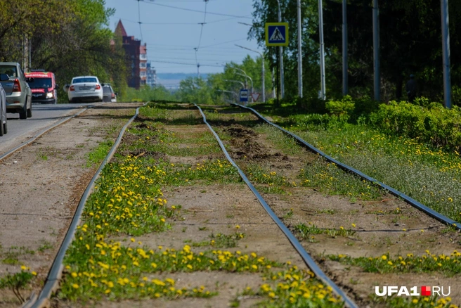 Одуванчиков наросло на путях | Источник: Булат Салихов / UFA1.RU