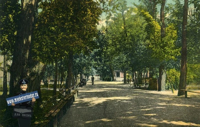 Пушкинская аллея Городского сада, 1913 год | Источник: myekaterinodar.ru