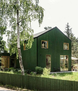 Дачный дом с зелеными фасадами в Швеции