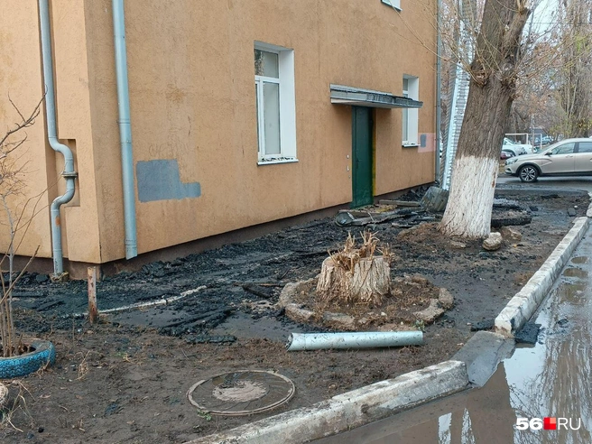 Угол дома | Источник: Владислав Митрошин / 56.RU