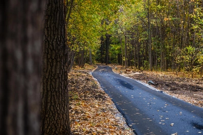 Децентрализация Уфы: тропа между Дёмой и Затоном