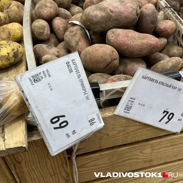 Источник: Елена Буйвол / VLADIVOSTOK1.RU