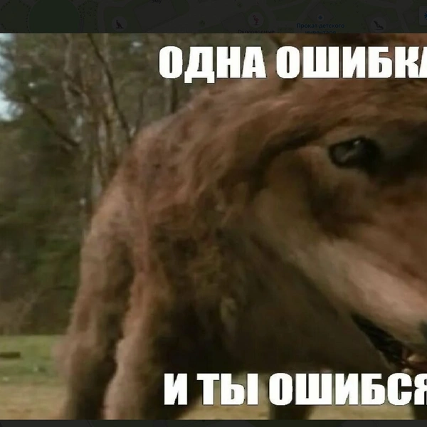 Простая истина от пермских полярных волков  | Источник: онлайн-карты «2ГИС»