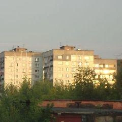 Во время грозы не укрывайтесь под отдельно стоящими деревьями | Источник: www.city-n.ru