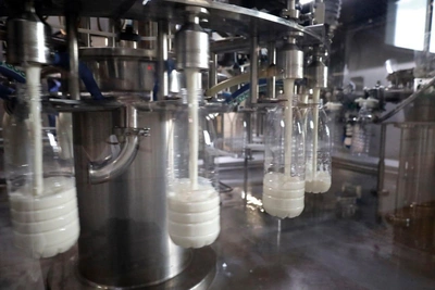 Экспорт сельхозпродукции из Самарской области вырос на 20%