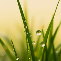 Аватарка miroshnikova_inna94