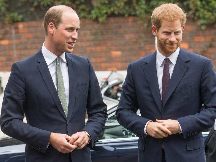 Соперничество и заискивание: что не так с заявлениями Гарри и Уильяма о принце Филиппе