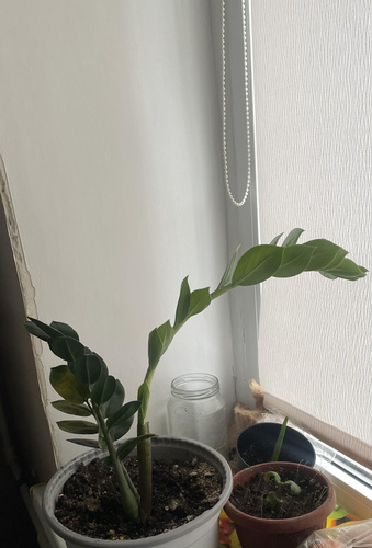 Изображение пользователя