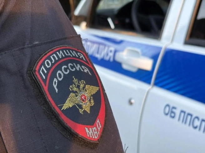 Празднование Дня города Пскова обошлось без нарушений | Источник: 60.xn--b1aew.xn--p1ai