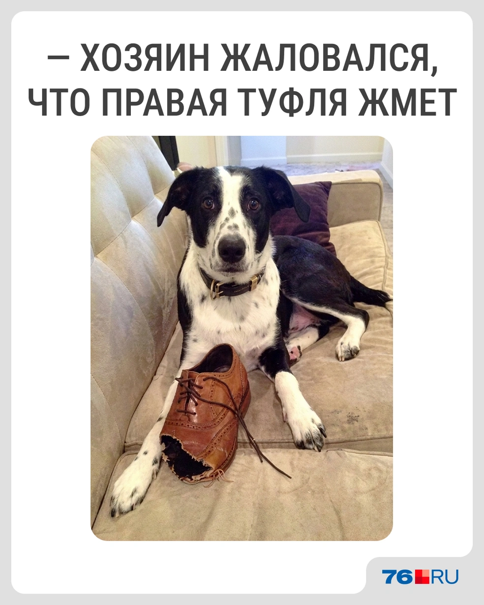 Теперь не будет | Источник: Городские медиа