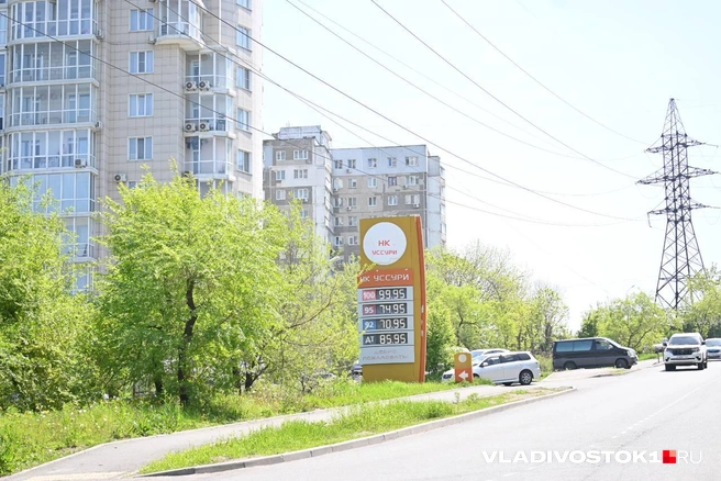 Источник: Елена Буйвол / VLADIVOSTOK1.RU