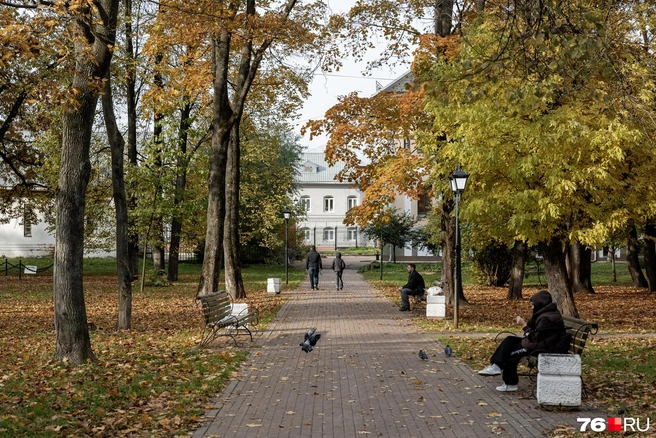 В это время года скверы и парки превращаются в настоящую палитру осенних цветов | Источник: Александр Куренной / 76.RU