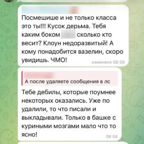 По словам родителей, Олеся угрожала их детям в интернете | Источник: предоставлено редакции MSK1.RU